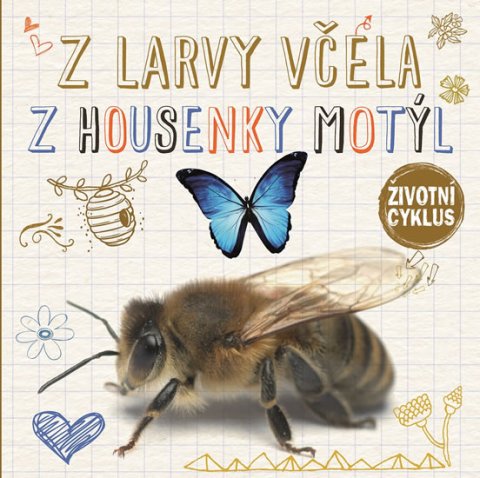 Jones Grace: Z larvy včela, z housenky motýl - Životní cyklus