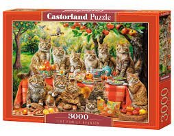 -: Castorland Puzzle Cat Family Reunion 3000 dílků