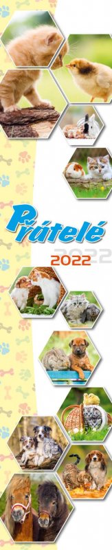 neuveden: Kalendář 2022 - Přátelé, nástěnný