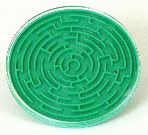 neuveden: Bludiště do kapsy