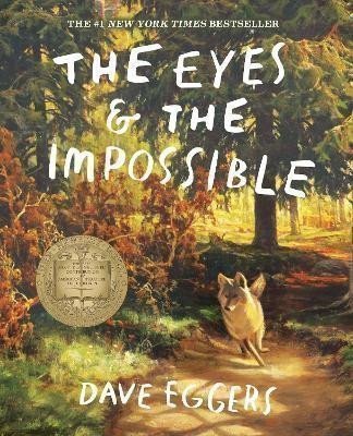Eggers Dave: The Eyes and the Impossible