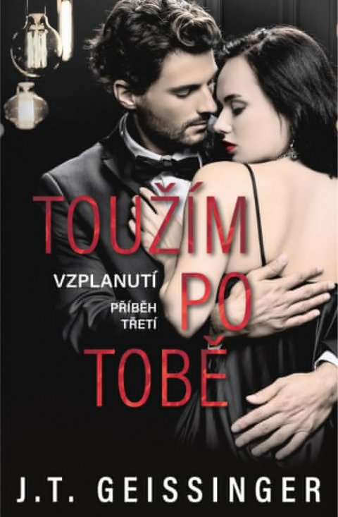 Geissinger J. T.: Toužím po tobě