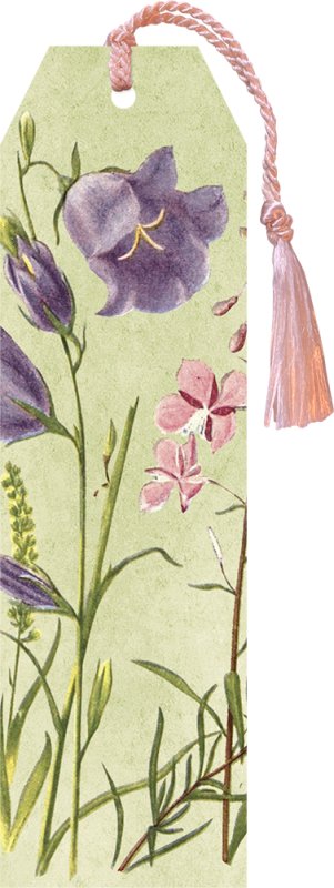 -: Knižní záložka Summer flowers