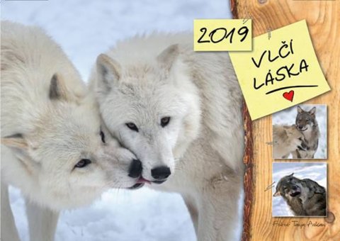 Askani Tanja: Kalendář 2019 - Vlčí láska