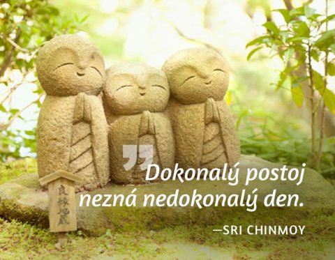 Chinmoy Sri: Magnet na lednici - Dokonalý postoj nezná nedokonalý den.