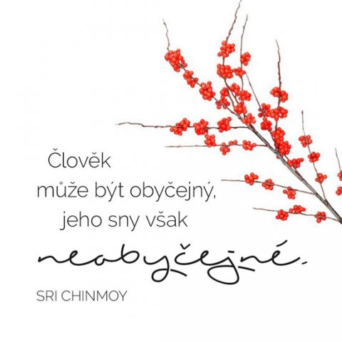 Chinmoy Sri: Korkový podtácek s citátem - Člověk může být obyčejný, jeho sny však neoby Chinmoy Sri: Korkový podtácek s citátem - Člověk může být obyčejný, jeho sny však neoby