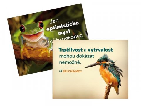Chinmoy Sri: Magnet na lednici 2 ks Trpělivost + Jen optimistická