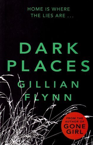 Flynnová Gillian: Dark Places