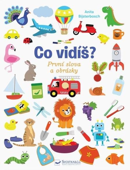 Bijsterboschová Anita: Co vidíš? První slova a obrázky