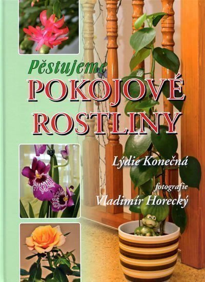 Konečná Lýdie: Pěstujeme pokojové rostliny