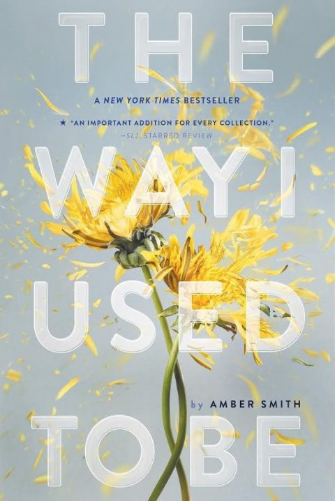 Smith Amber: The Way I Used to Be