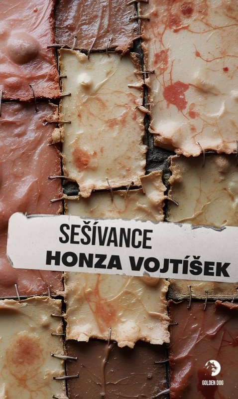 Vojtíšek Honza: Sešívance