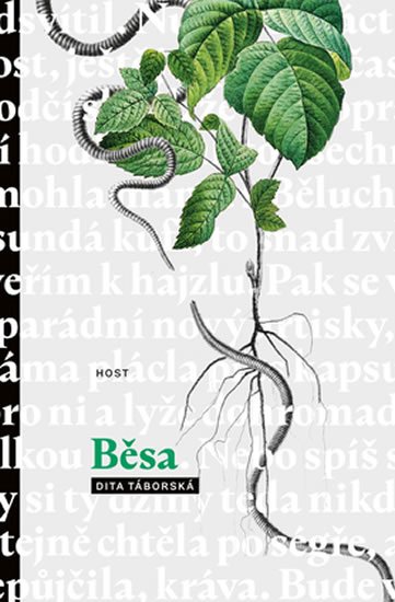 Táborská Dita: Běsa Táborská Dita: Běsa