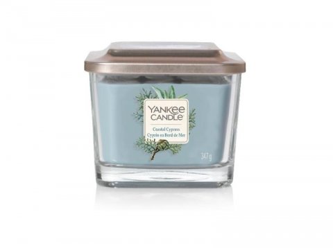 neuveden: YANKEE CANDLE Coastal Cypress svíčka 347g, 3 knoty
