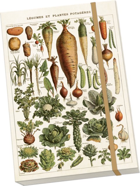 -: Notýsek Vegetables