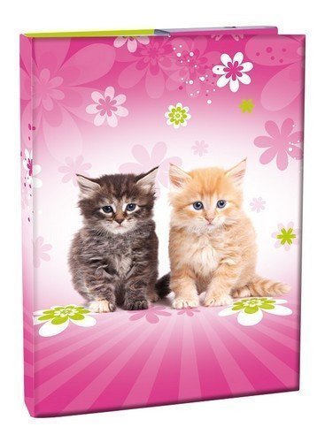 neuveden: Box na sešity A5 - Cats