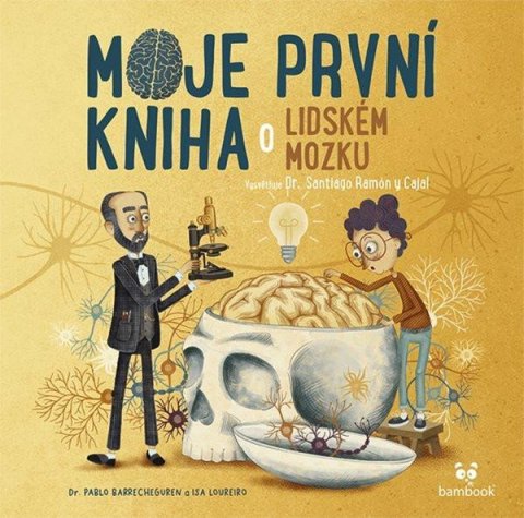 Berrecheguren Pablo: Moje první kniha o lidském mozku