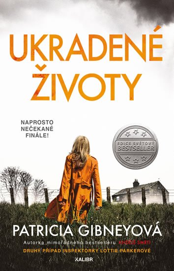 Gibneyová Patricia: Ukradené životy