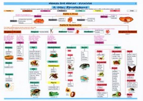 kolektiv autorů: Tabulka - zoologie