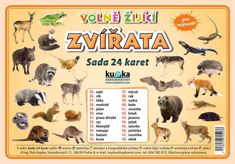 Kupka Petr: Sada 24 karet - zvířata (volně žijící) A5