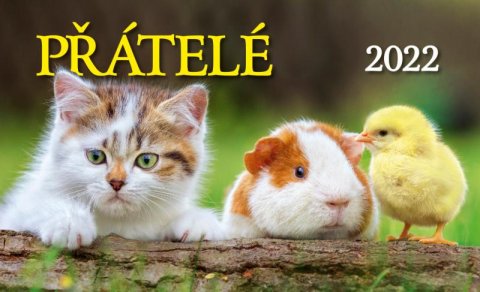 neuveden: Kalendář 2022 - Přátelé, stolní