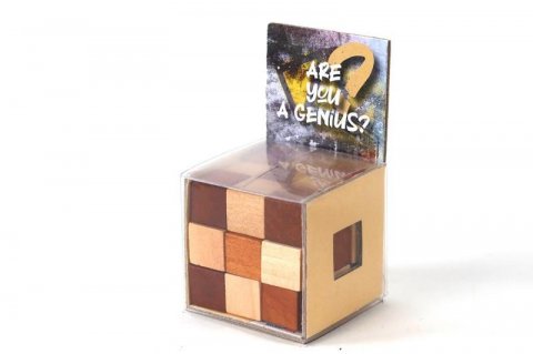 neuveden: Recenttoys Hlavolam - Are you a Genius