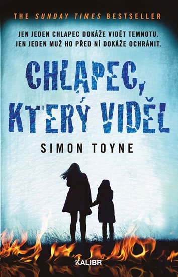 Toyne Simon: Chlapec, který viděl Toyne Simon: Chlapec, který viděl