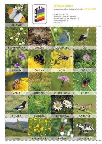 neuveden: Pexeso Léto na louce (Já můj svět 2)