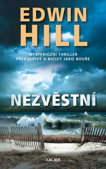 Hill Edwin: Nezvěstní Hill Edwin: Nezvěstní