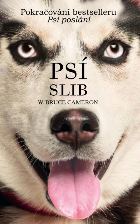 Cameron W. Bruce: Psí slib