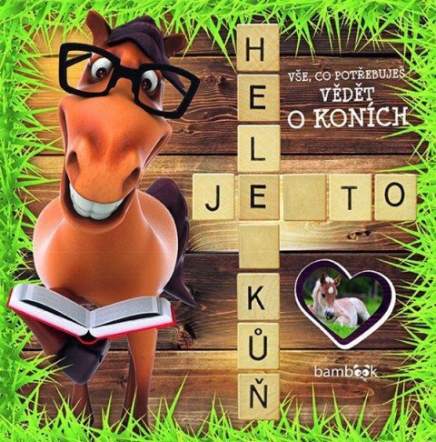 kolektiv autorů: Hele, je to kůň