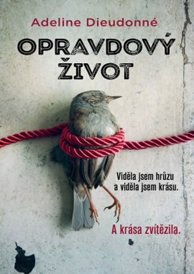 Dieudonné Adeline: Opravdový život - Viděla jsem hrůzu