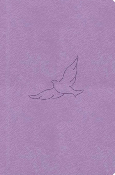 neuveden: Bible, překlad 21. století (lila) - kapesní neuveden: Bible, překlad 21. století (lila) - kapesní