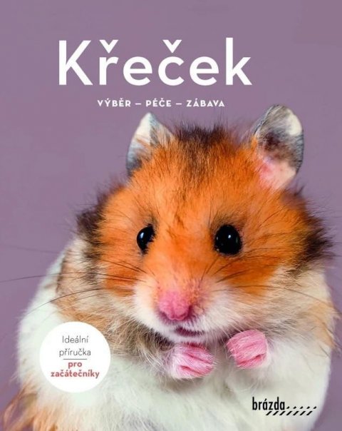 Becková Angela: Křeček - Výběr, péče, zábava