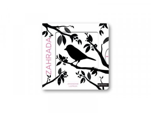 Laprun Amandine: Krásné barvy Zahrada