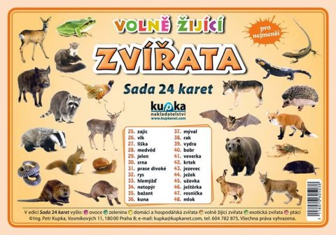 kolektiv autorů: Volně žijící zvířata - Sada 24 karet kolektiv autorů: Volně žijící zvířata - Sada 24 karet