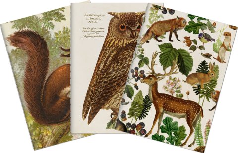 -: Sada tří notýsků Forest Animals