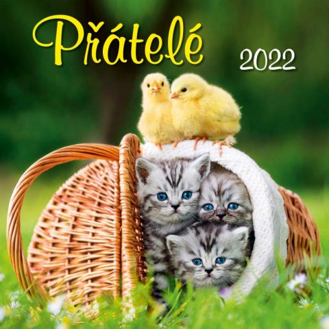 neuveden: Kalendář 2022 - Přátelé, nástěnný