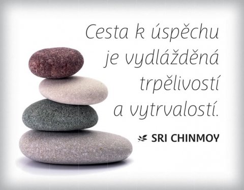 neuveden: Magnet na lednici - Cesta k úspěchu je vydlážděná trpělivostí a vytrvalostí neuveden: Magnet na lednici - Cesta k úspěchu je vydlážděná trpělivostí a vytrvalostí