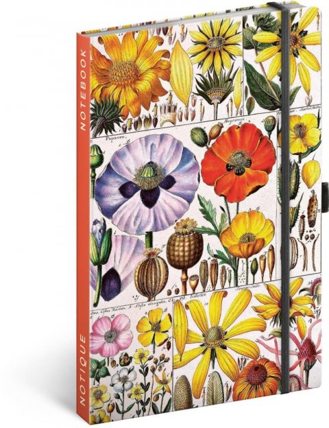 Winterová Kateřina: Notes Herbář Kateřiny Winterové, linkovaný, 13 × 21 cm