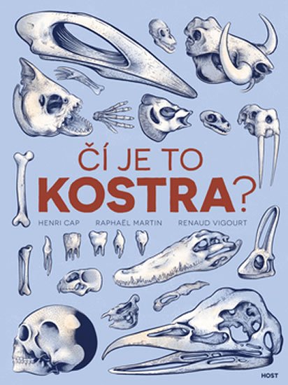 Cap Henri, Martin Raphaël: Čí je to kostra? Cap Henri, Martin Raphaël: Čí je to kostra?