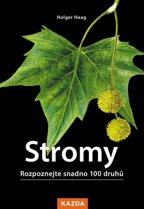 Haag Holger: Stromy - Rozpoznejte snadno 100 druhů