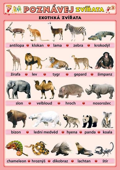 kolektiv autorů: Poznávej zvířata - Exotická zvířata