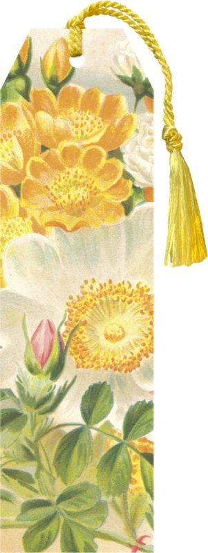 -: Knižní záložka Yellow Roses