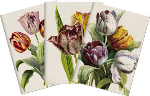 -: Sada tří notýsků Purple Tulips