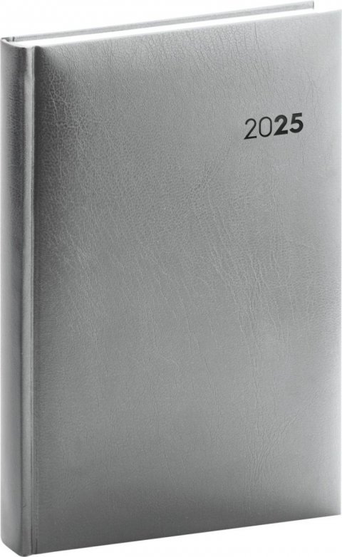 neuveden: Diář 2025: Balacron - stříbrný, denní, 13 × 18 cm neuveden: Diář 2025: Balacron - stříbrný, denní, 13 × 18 cm