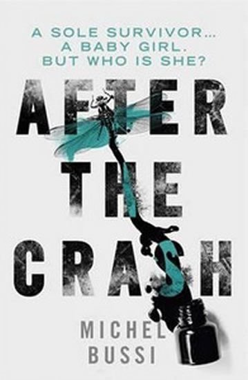 Bussi Michel: After the Crash