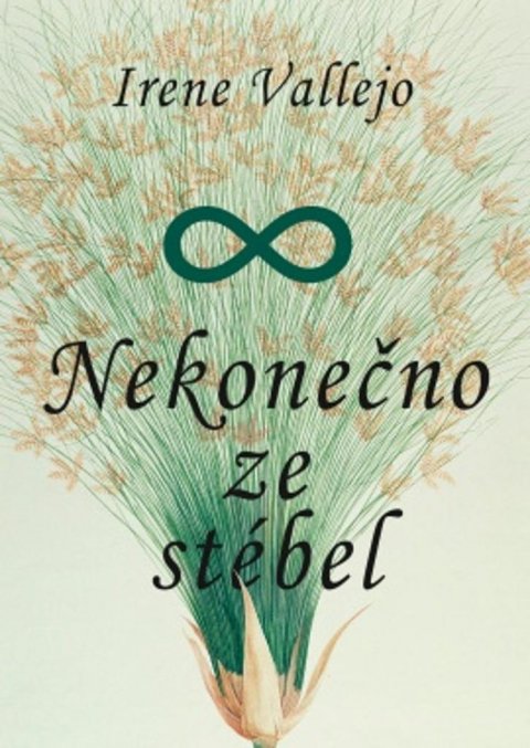 Vallejo Irene: Nekonečný zázrak / Jak člověk stvořil knihy a jak knihy utvářejí člověka