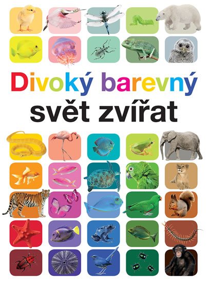 Ganeriová Anita: Divoký barevný svět zvířat