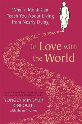 Rinpoche Yongey Mingyur: In Love with the World